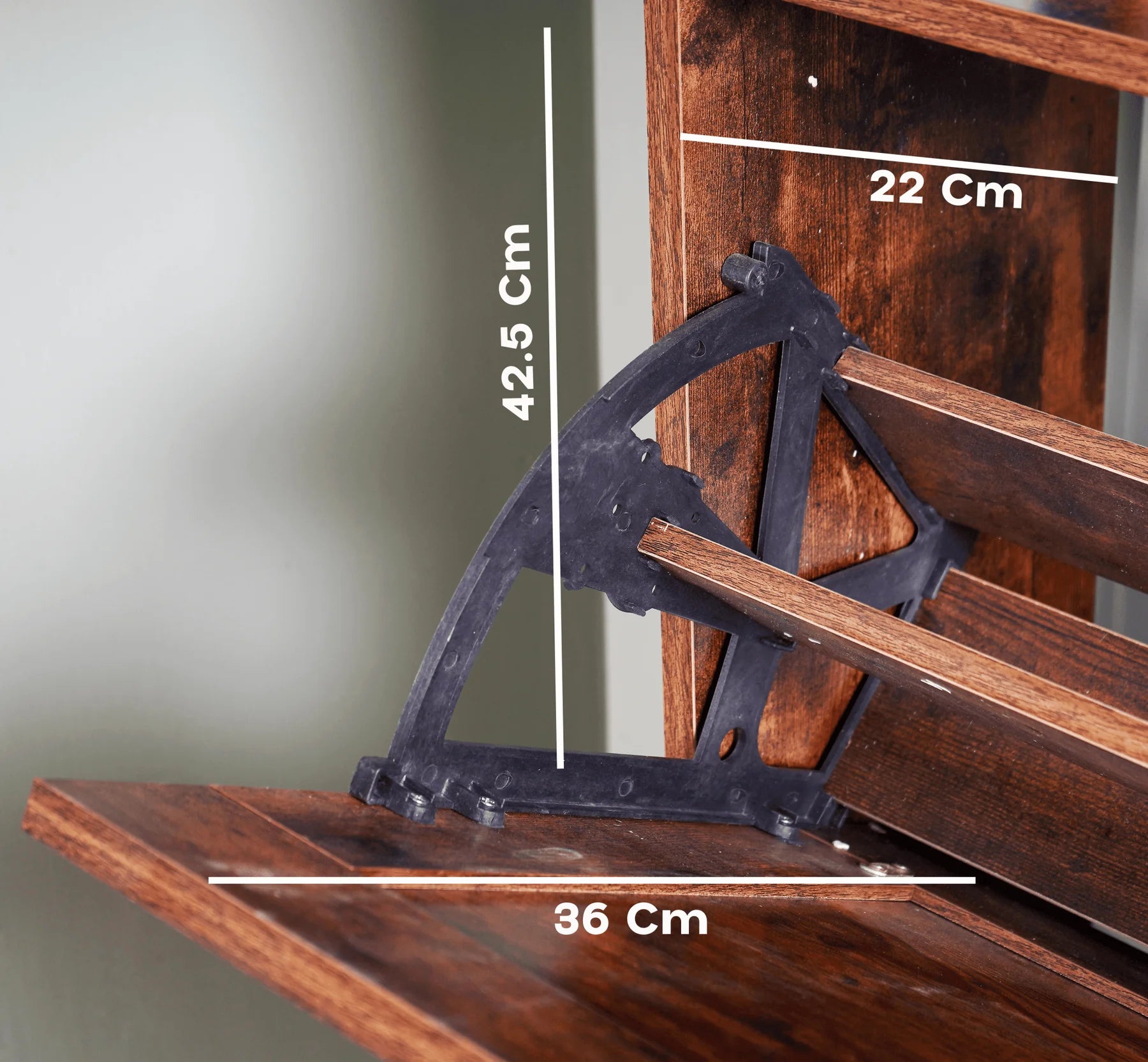 Cove Shoe Organizer Cabinet