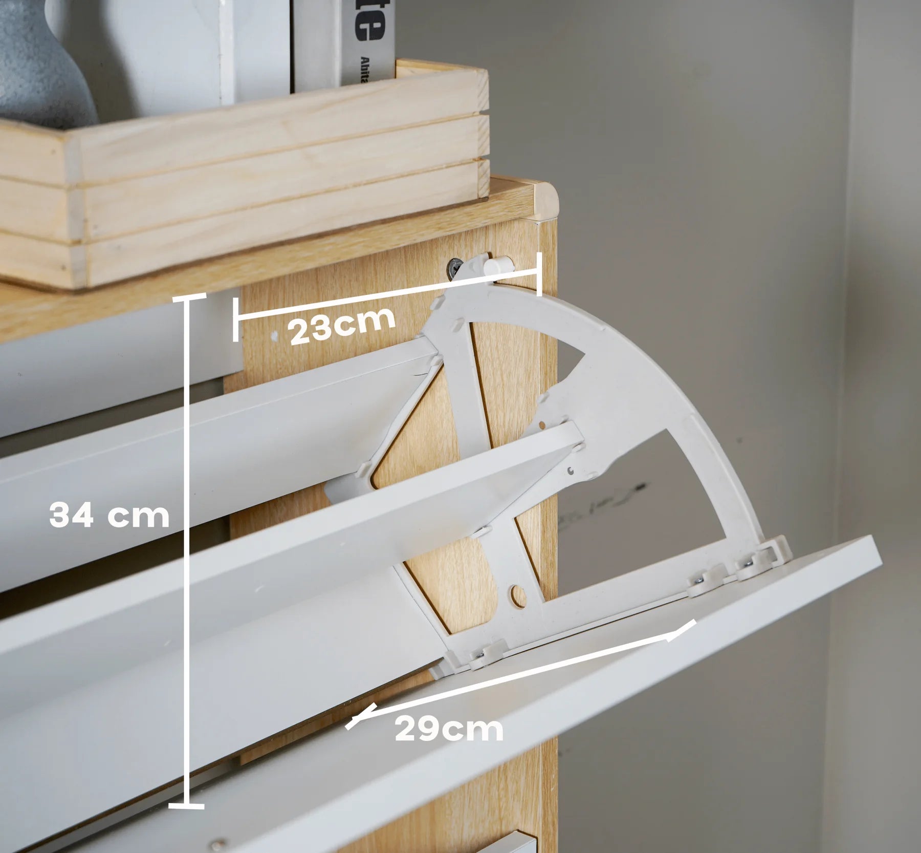 Sanctum Shoe Organizer Cabinet